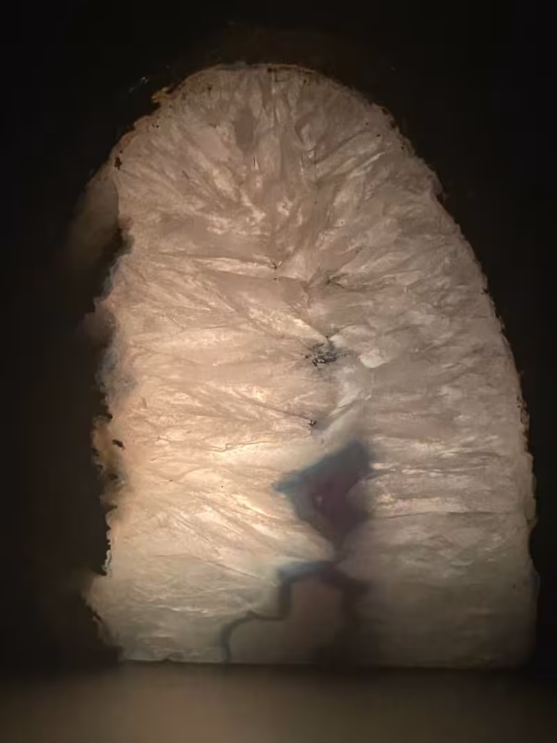 photophore bleu or allumé