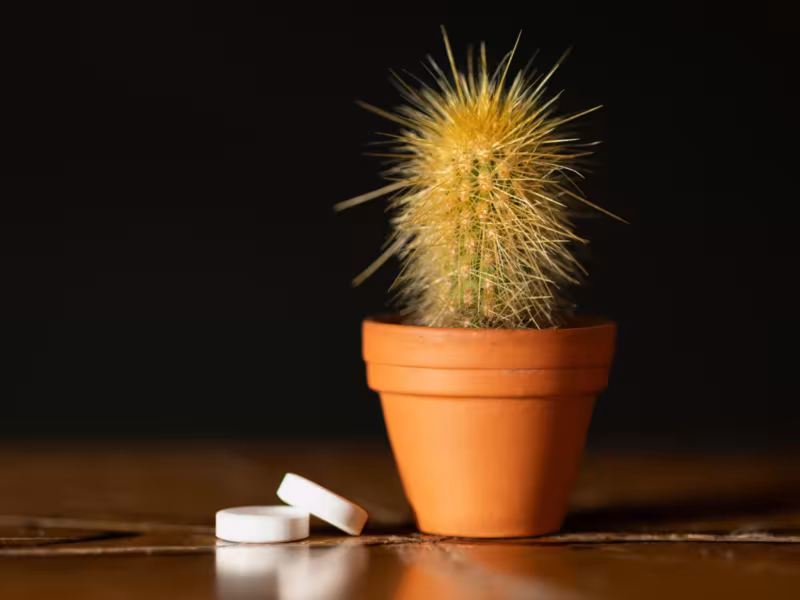 gestion de la douleur en hypnose