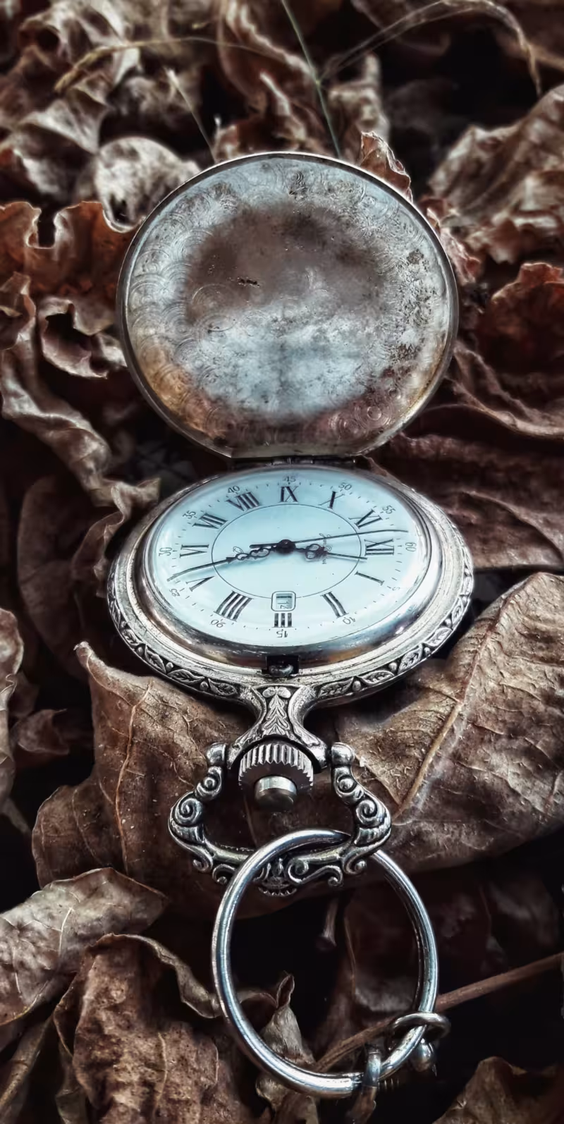 montre vies antérieures