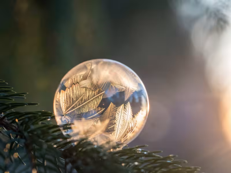 bulle hiver hypnose