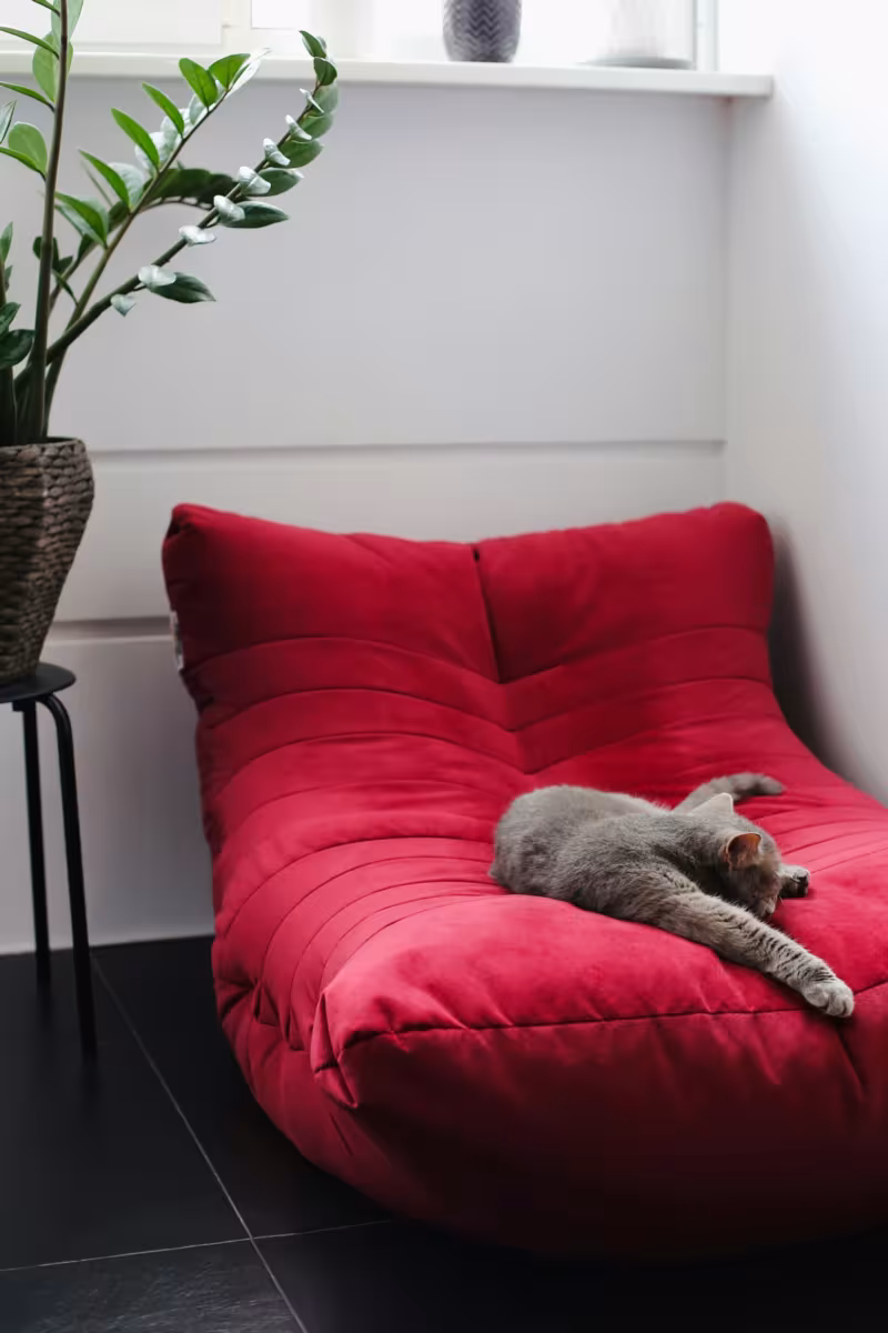 Ambiance cosy pour un suivi en hypnose sur Martigues